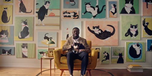 Man holding cat Man holding cat