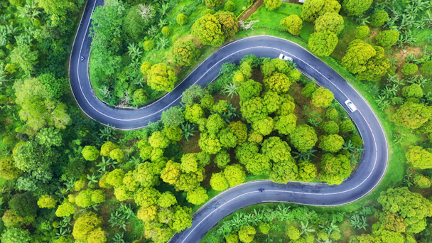 Aerial view of curving road through forest with two cars on the road