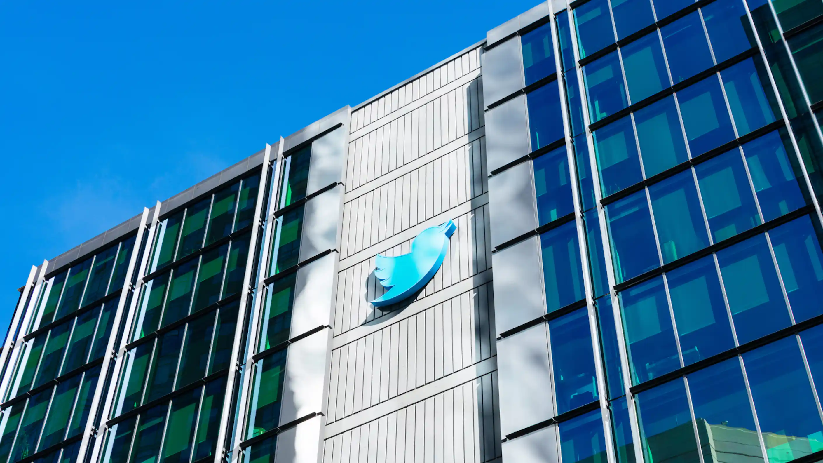 Major resignations and platform changes at Twitter spook users and ...