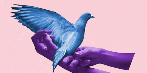 Digital rendering of purple hands holding blue bird 