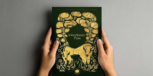 Yellowstone National Park's Inheritance Pass Yellowstone National Park's Inheritance Pass