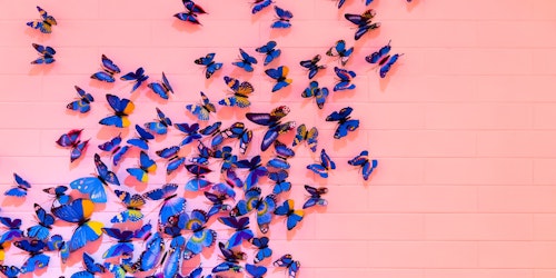 A spray of butterflies in formation on a pink wall