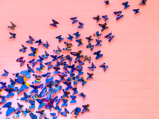 A spray of butterflies in formation on a pink wall