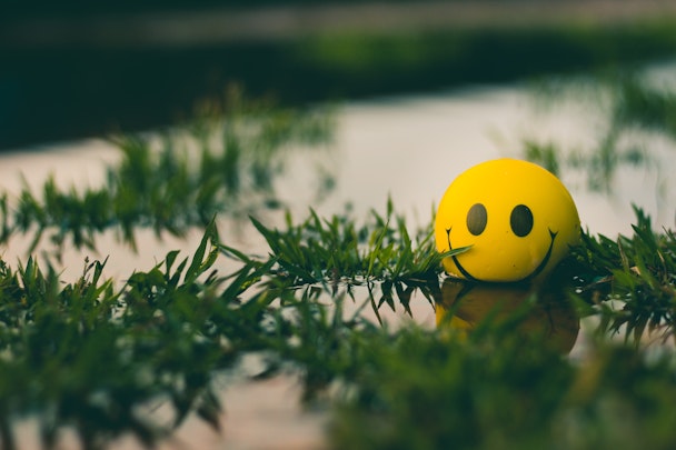 A yellow 'smiley face' ball, bobbing in a pond