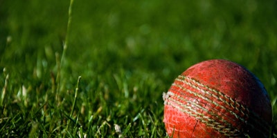 A cricket ball, nestled in grass