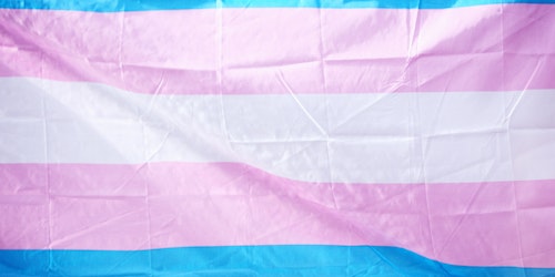 A close-up of the transgender pride flag