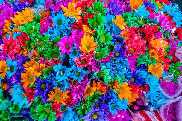 A colorful array of flowers