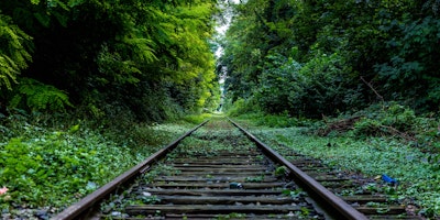 An overgrown set of train tracks