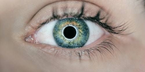 A close-up of an eye with lights showing in the retina