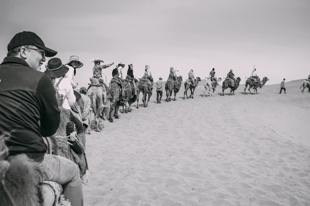 A line of people on camels in the desert