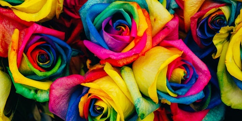 A colorful rainbow-painted flower