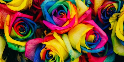 Roses, up close, and painted all the colors of the rainbow