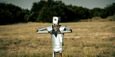 A rudimentary metallic robot in a field