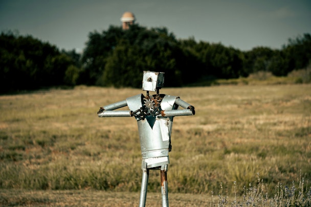 A rudimentary metallic robot in a field