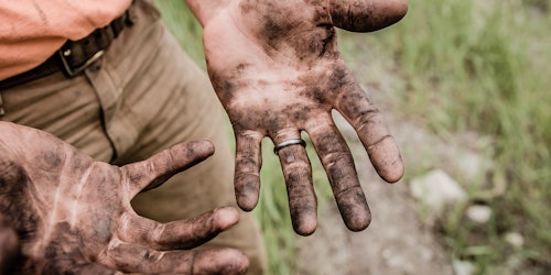 A pair of dirty hands after a day of hard toil