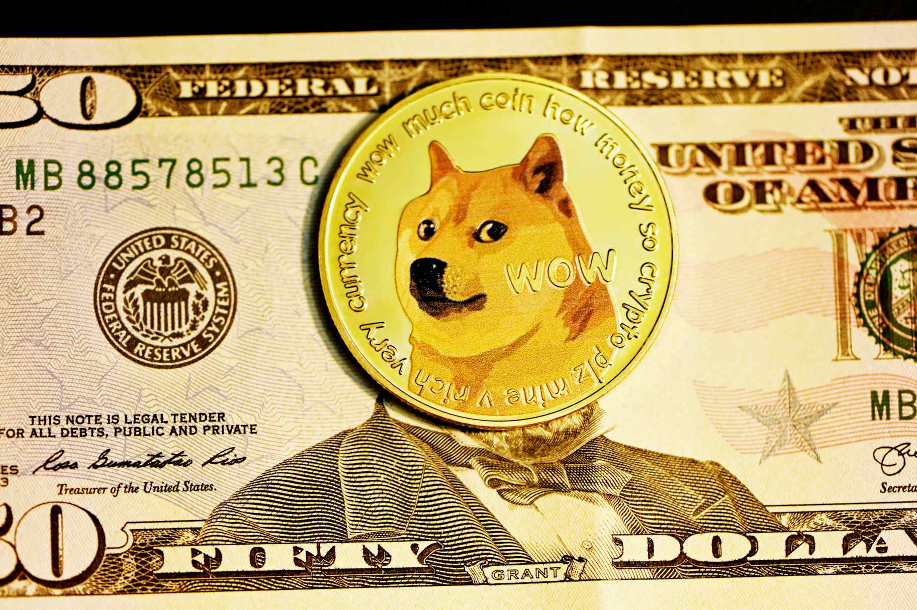 A 'dogecoin', over the head of an American president on a bill