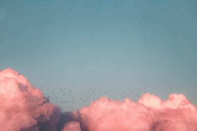 Some clouds, and some birds
