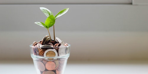 A small green sapling growing out of a glass tumbler filled with coins