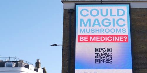 A digital billboard featuring the words 'Could Magic Mushrooms Be Medicine'