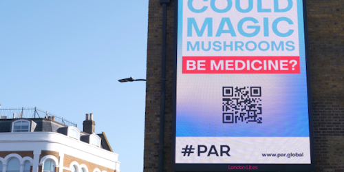 A digital billboard featuring the words 'Could Magic Mushrooms Be Medicine'