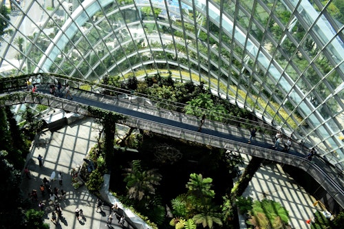 A large greenhouse