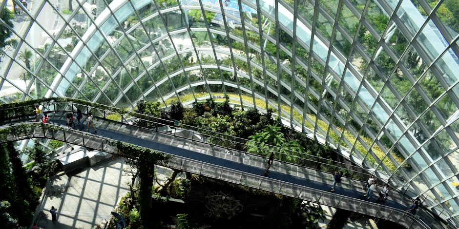 A large greenhouse
