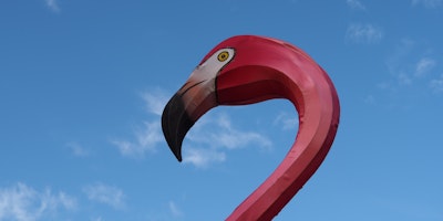The head of a fake flamingo