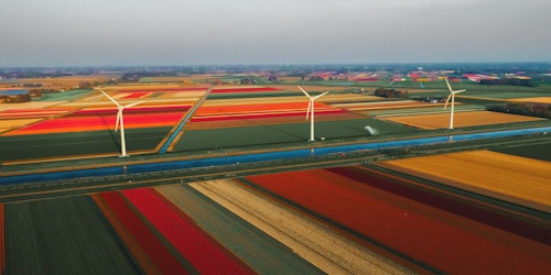 Dutch wind turbines
