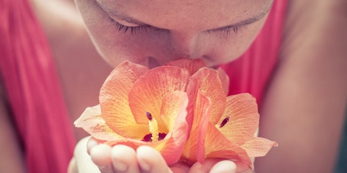 A woman smelling a beautiful red flower