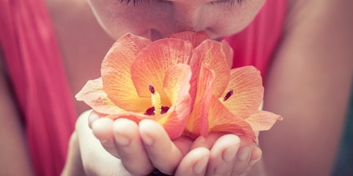 A woman smelling a beautiful red flower