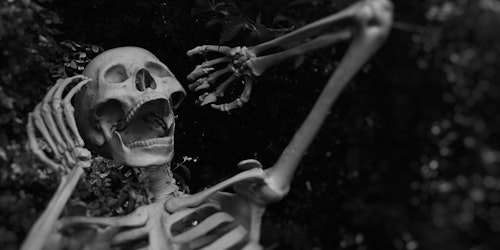 A spooky skeleton
