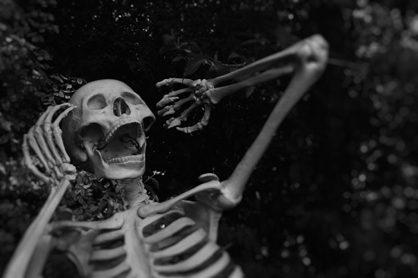 A spooky skeleton