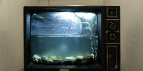 An old-fashioned CRT TV, turned into a fish bowl