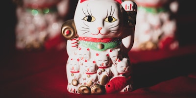 A lucky ceramic cat