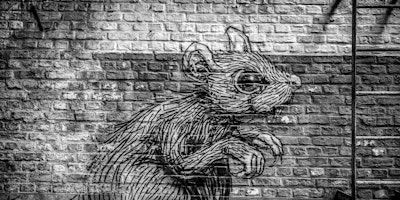 A graffiti rat on a wall