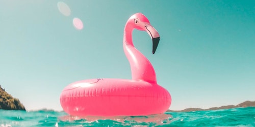 A pink flamingo inflatable