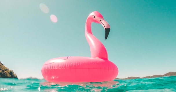 A pink flamingo inflatable
