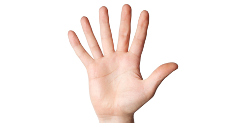 A six finger hand