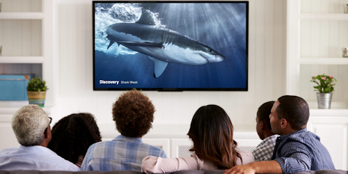 Discovery's annual Shark Week programming 