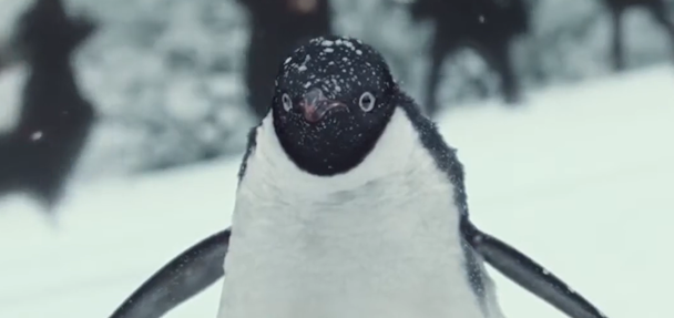 John Lewis 'Monty The Penguin' Christmas ad from 2014