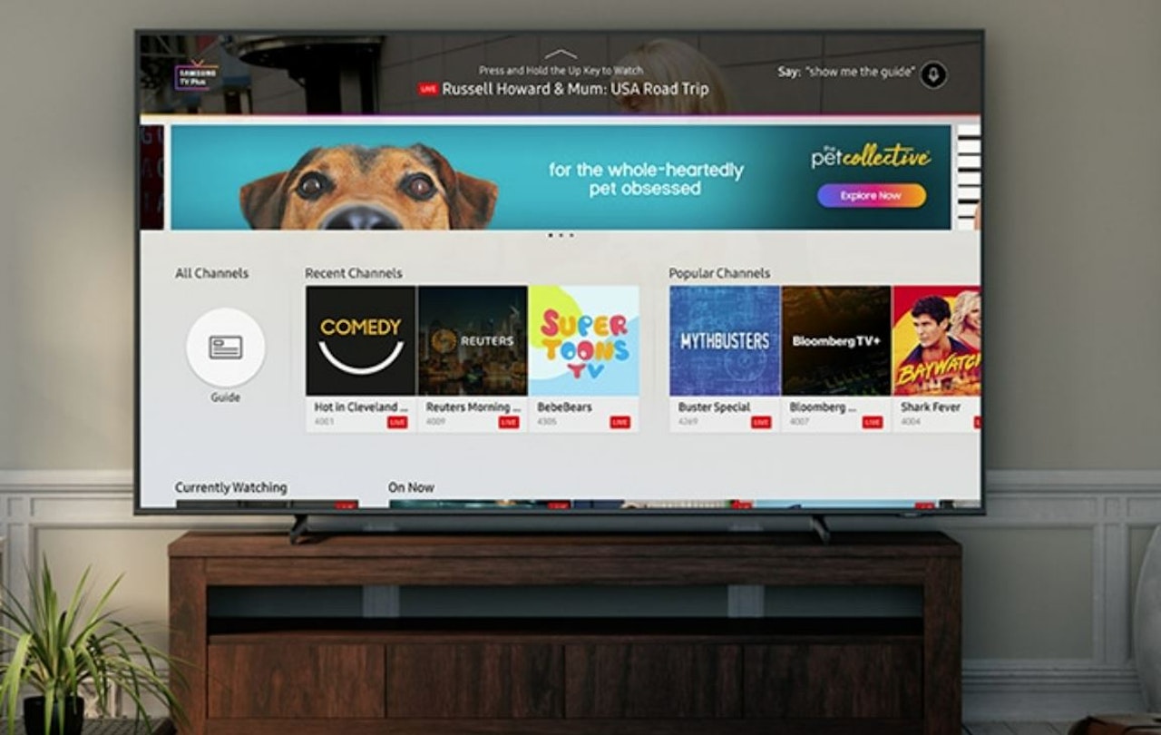 Samsung TV Plus Reveals Massive Viewership Growth, New Music & Kids  Experiences - Samsung US Newsroom