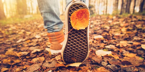 The most clickable fall images, as shown by AI The most clickable fall images, as shown by AI