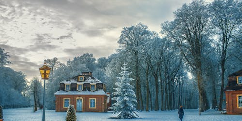 Snow Scene Snow Scene