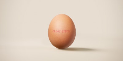 Honest Eggs feature codes that depict the fitness and health of the chicken which laid the egg 