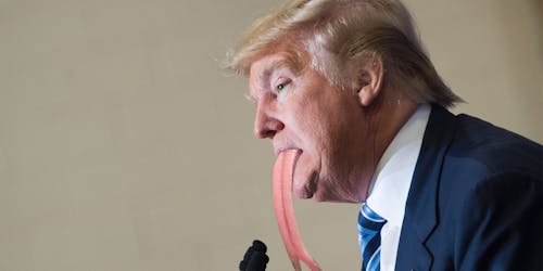Lizard donald trump Lizard donald trump