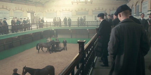 horse_auction