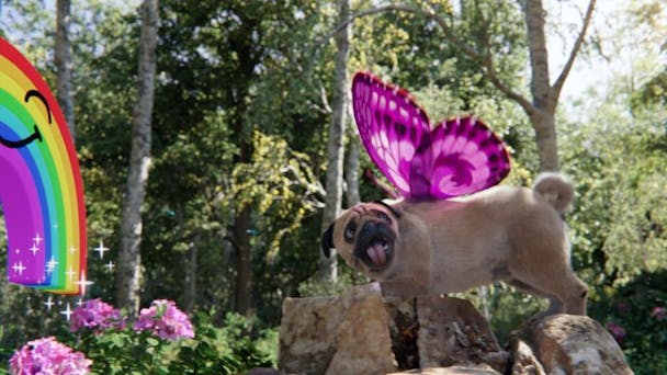 PuggerFly PuggerFly