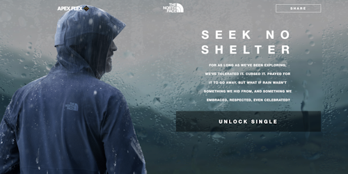 Seek No Shelter