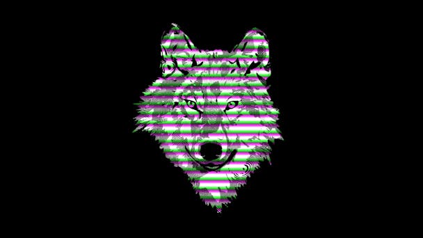 Wolf Wolf