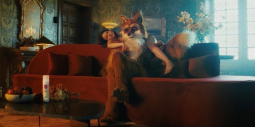 fox with woman on couch